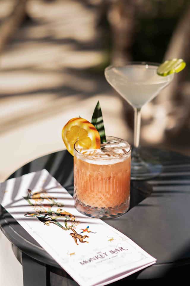 daylight color photograph of cocktails on table