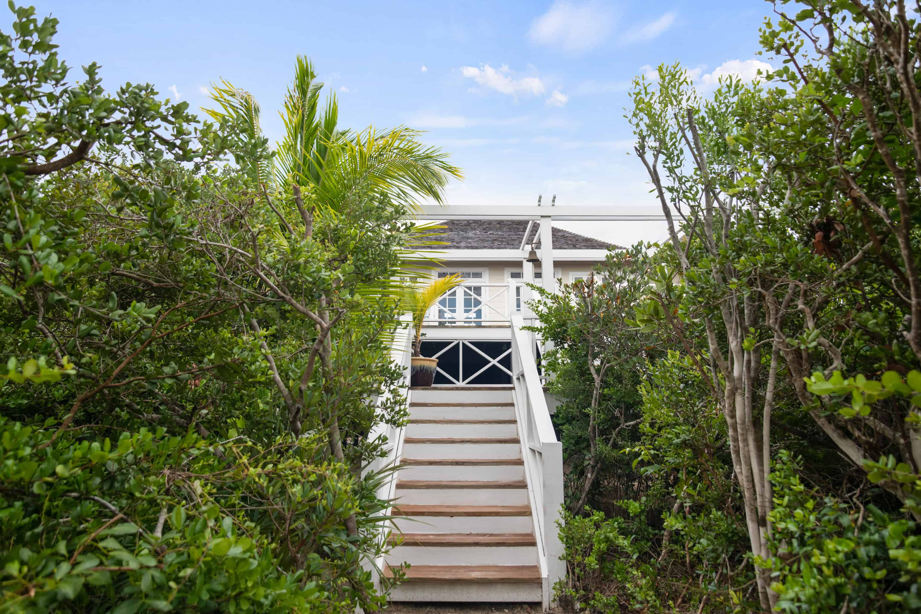 landscape color photography of outdoor staircase