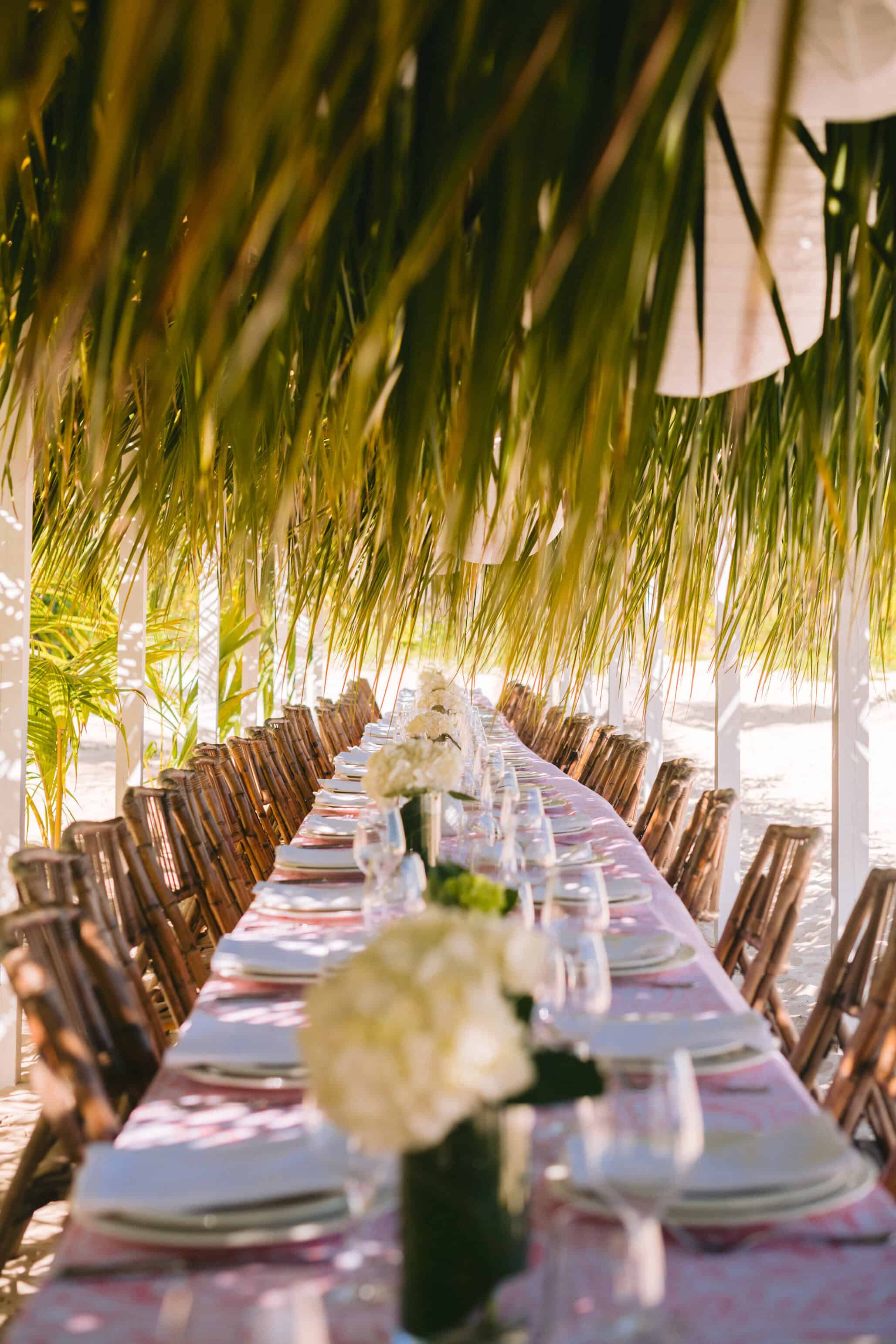 daylight color photography of outdoor dining table