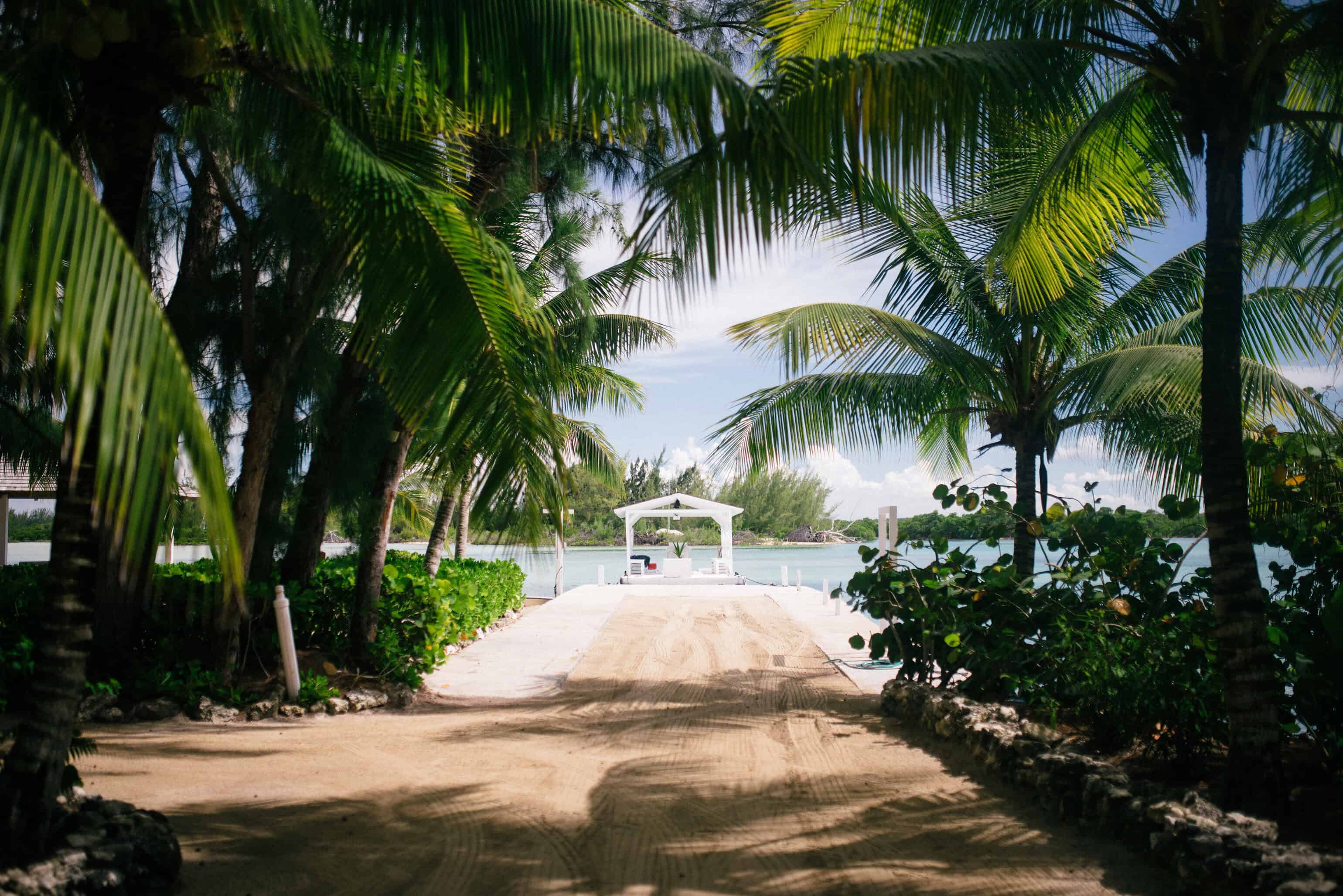 color landscape photographs of palm trees and seaside dirt road